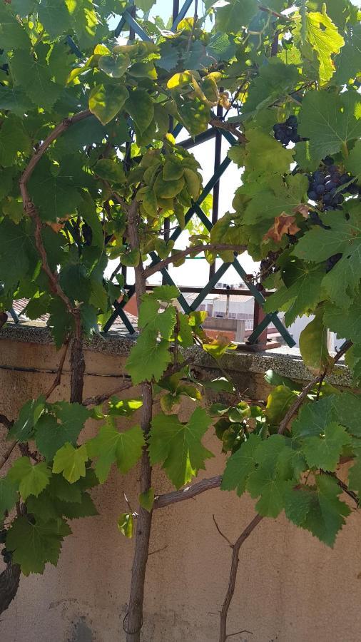 פינדה דה מר Apartamento Mediterraneo מראה חיצוני תמונה